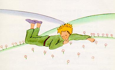 小王子 小王子图片 小王子扑在草地上哭了